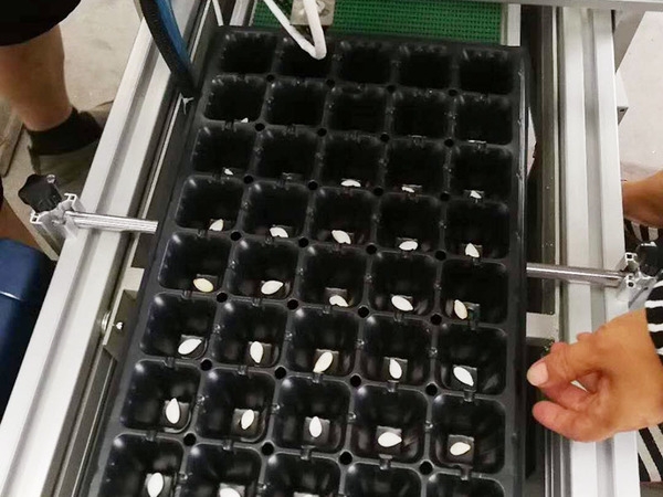 山東穴盤播種機廠家